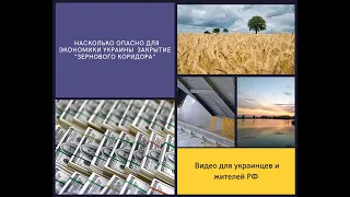 Насколько опасно для экономики Украины блокада "зернового коридора"