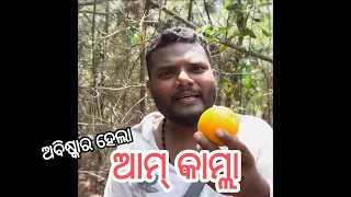 Abiskar Hela Aam Kamlaa | Santu Nije | Odia Comedy | Badmash Toka