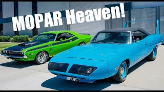 Nico’s 1970 T/A Six Pack Dodge Challenger & 1970 Plymouth Superbird!