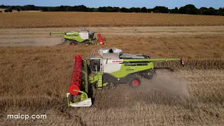 4k Harvest 2022: 2x Claas Lexion 780TT combines cutting OSR near Beccles, Suffolk