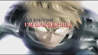 The Ever love:  I'm Dangerous (amv)