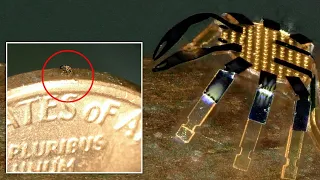 Remote-controlled micro crab is "smallest-ever" walking robot