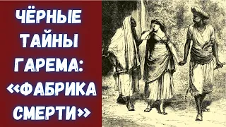 Редкие исторические факты об османском гареме