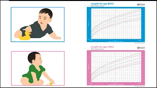 WHO Length-for-age Z-Score Growth Charts-Hindi