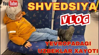 VLOG•AISHA ALIEVA• ABDULLOH VA YUSUF BILAN T-CENTRALGA MAGAZINGA BORDIK•YEVROPADIGI OILANING XAYOTI