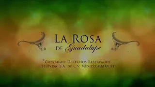 La rosa de Guadalupe 《Calcetitas rojas》Parte 1