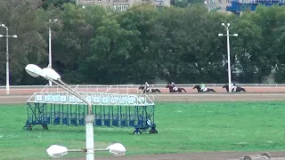 Московский ипподром. Бега. 01.10.17. Заезд 8(585). СПОРТИВНЫЙ ПРИЗ (РЫСЬЮ ПОД СЕДЛОМ)