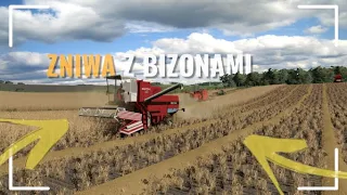 ŻNIWA Z BIZONAMI 2021 🌾 URSUS & BIZON 5056 ☀️ FS19