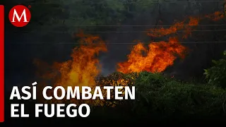 Controlan incendios en Acapulco en un 50%, informa Protección Civil