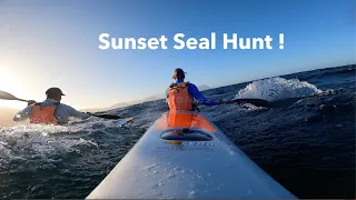 SURF-SKI: Sunset Seal Hunt (Millers #85)