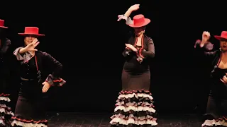 Video PROMO Cía. Alborea Flamenco by AiF 2024