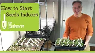 How I Start Seeds Indoors  Tips & Techniques