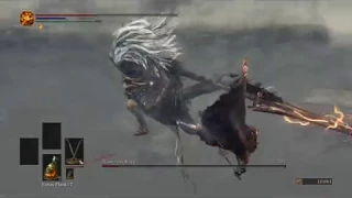 Soloing Nameless King with sellsword twinblades