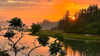 Stomping Grounds - Vinalhaven, ME