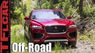 2017 Jaguar F-Pace Mild Off-Road Review: A New Cat for all Seasons?