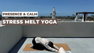Stress Melt Yoga | Presence | 5-7-2024