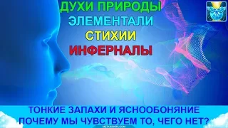 Запах земли, гари, плесени.  Сущности тонкого мира и обоняние  | FAQ