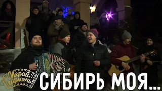 Сибирь моя... | Ансамбль «Сибиряки» (г. Новосибирск) | Играй, гармонь!