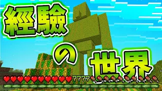 【Minecraft】引爆經驗值的核彈？！滿滿經驗值的世界！一秒升級９９９９等💚中文字幕｜麥塊【模組】