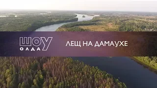 Лещ на Дамаухе. This is Лещ.  [ШоУолда №25]