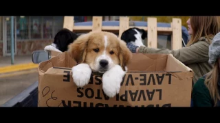 Movie Review: "A Dog's Purpose"
