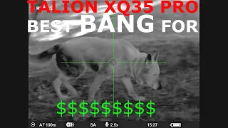 TALION XQ35 PRO BEST BANG FOR YOUR BUCK THERMAL