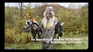 PA MOUNTAIN MARSH DUCK HUNT 2020!