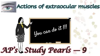 Actions of Extraocular Muscles | AP's Study Pearls 9