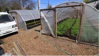 Greenhouses That Wow: Cheap, Lean And DIY!