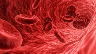 Как увеличить количество тромбоцитов в крови при их низком уровне народными средствами