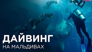 Дайвинг. Diving. Фридайвинг. Freediving. Travel expert Михаил Карпович ( Mikhail Karpovich )