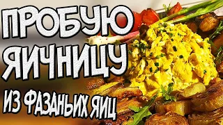 25 яиц фазана это много или мало? Вкусная ЯИЧНИЦА из фазаньих яиц с овощным гарниром.