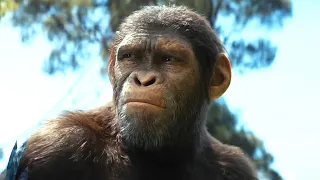 KINGDOM OF THE PLANET OF THE APES Ending Explained (Full Movie Breakdown)