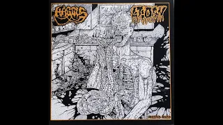 Haggus / Lt. Dan (Full Split) (HQ)