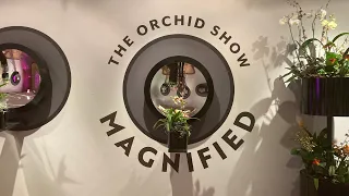 The Orchid Show: Magnified @ Night