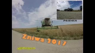 ★ Żniwa 2017 - Pszenica ★ Fortschritt MDW E524 & Zetor 12045 ★ Mati Podkarpacie | GoPro |