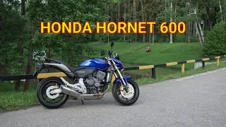 Злой шершень. Honda CB 600F hornet