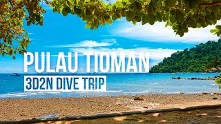 PULAU TIOMAN DIVE TRIP | 3 Days 2 Nights Travel Vlog | Travel Malaysia