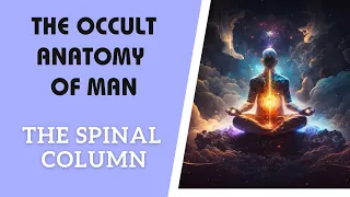 The Spinal Column | The Occult Anatomy of Man: Part 3