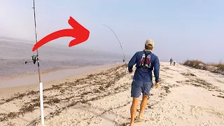 This Fish is a MONSTER!