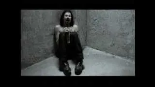 Amorphis - Divinity