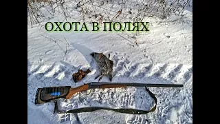 ОХОТА 2018/ ЗАЯЦ/ РЯБЧИК/ ЧАГА охота рыбалка отдых