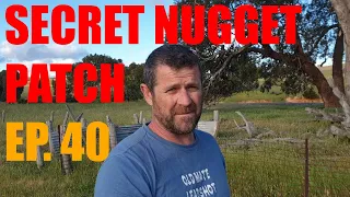 Gold Prospecting Ep. 40 - THERE'S GOLD EVERYWHERE!!!