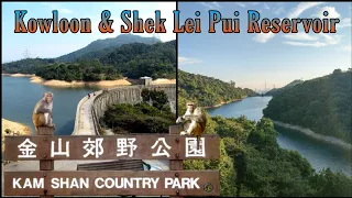 Kam Shan Country Park (Monkey Hill), Kowloon and Shek Lei Pui Reservoir