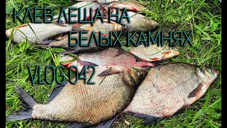 Клев леща на Белых камнях⎥VLOG 042