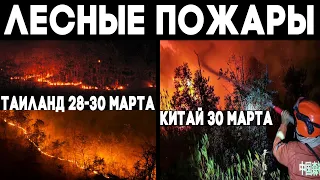 Катаклизмы последних дней - выпуск 9 ! Лесные пожары - Таиланд и Китай wildfires ! Climate Change !