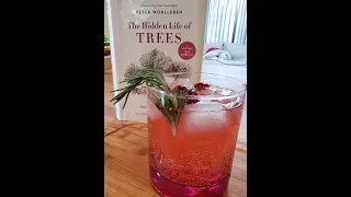 Cover To Cocktails Book Review 2:  The Hidden Life of Trees