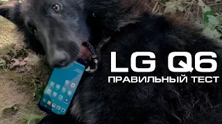 LG Q6 Alpha - на что он способен?