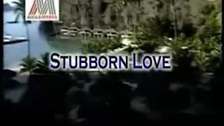 Stubborn Love Karaoke with lyrics