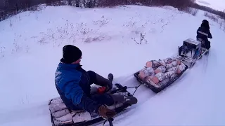 На толкаче за дровами с Ягдой